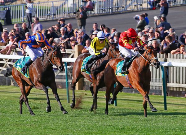 Iridessa beating Hermosa (left) and Pretty Pollyanna in the bet365 Fillies' Mile at Newmarket