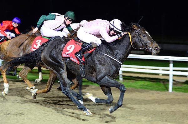 Leaderboard wins under Tom Madden