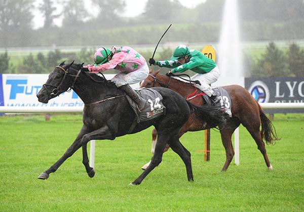 Winiata in front at Limerick