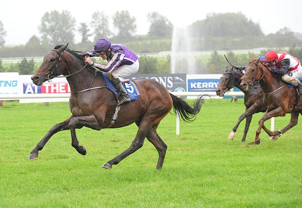 Michael Hussey guides Sir Erec home