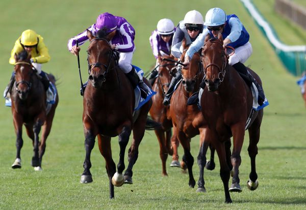 Persian King (right) winning at Newmarket  in 2018