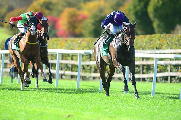 Tide Of Time strides clear for Ronan Whelan