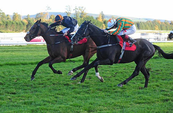 Causey Arch (nearside)