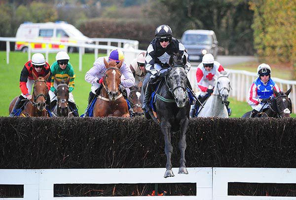 Tikkanen Express leads them in Punchestown