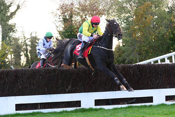 Sizing Rome and Jamie Codd pictured on their way to victory