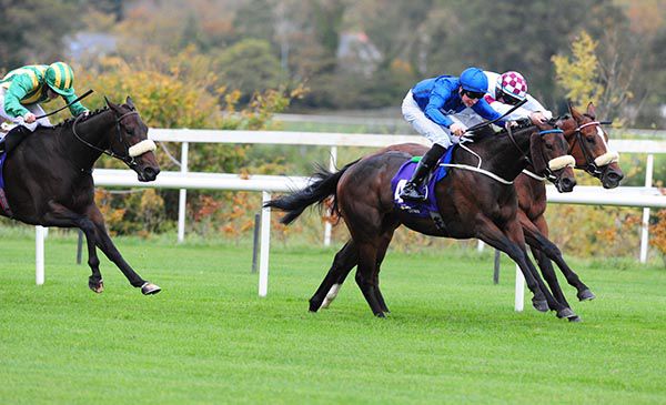 Cockalorum (Ross Coakley, blue) beats Pienta (Rory Cleary, rail) in the penultimate event at Leopardstown