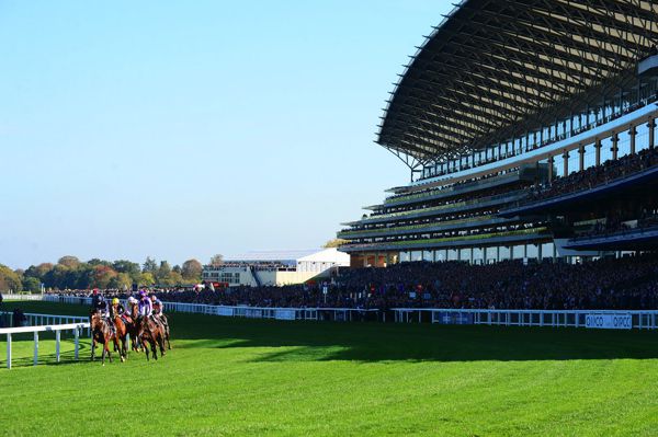 Ascot