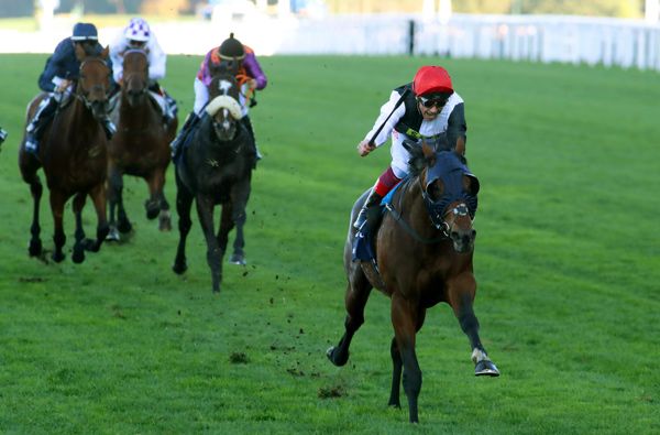 only senior jockeys will be allowed ride when racing resumes