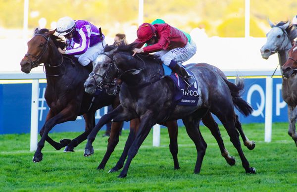 Roaring Lion