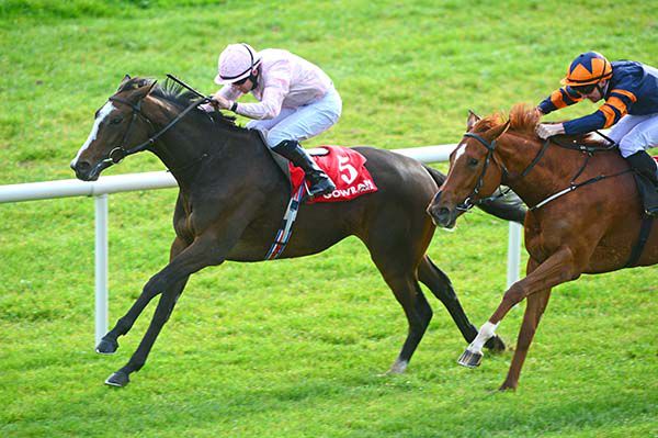 Chablis and Wayne Lordan lead home Peruvian Lily and Gary Carroll