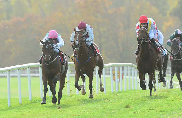 Tankerville (pink cap) leads home his rivals under Declan McDonogh
