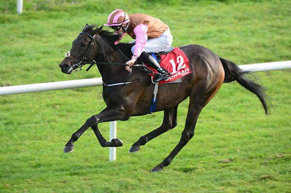 Tuamhain and Shane Crosse pictured on their way to victory