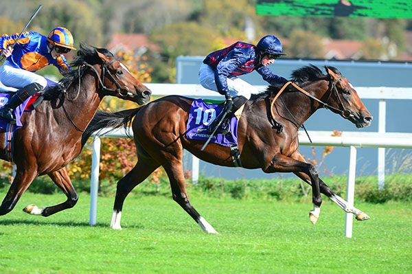 Manjeer and Ross Coakley lead Turnberry Isle in the closing stages
