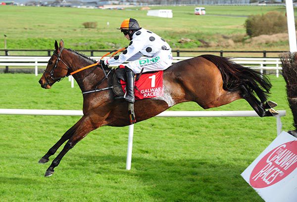 Abbey Magic won her Novice Chase at Galway in 2018