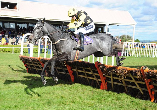 Mister Blue Sky well clear in Wexford