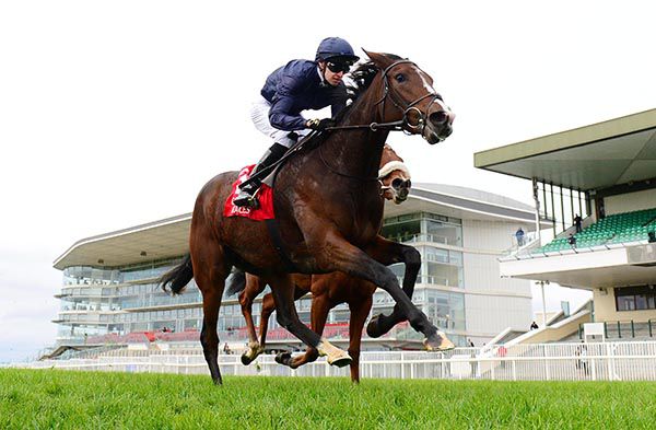 Delphinia approaches the line in Galway