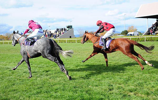 Mandarin Monarch, far side, winds up his challenge