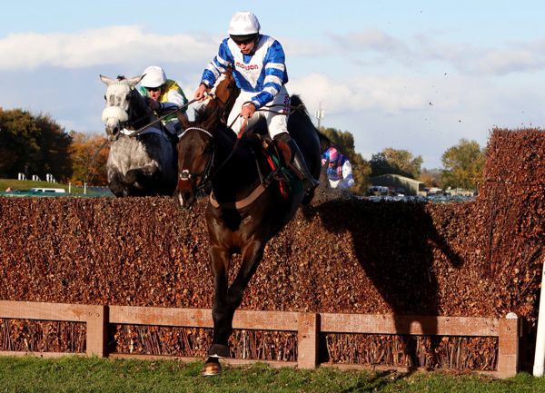Frodon