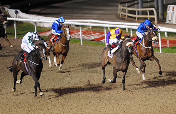 Point Taken (left) battles out the finish with Dawn Trouper (purple and yellow)