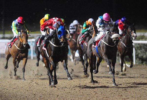 First Response (noseband) claims Stranagone 