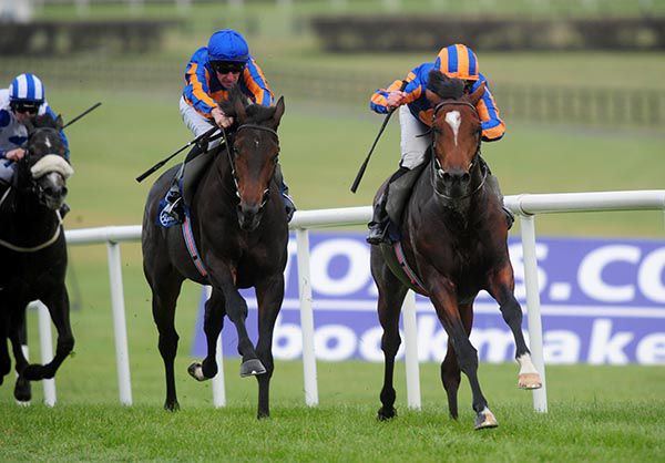 Turnberry Isle (right) beating stablemate Gentile Bellini