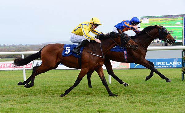 Antilles leads home Colfer Me