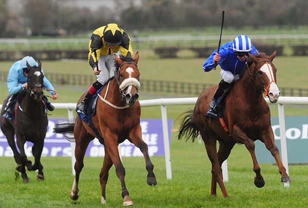 Naadheer (left) is ridden out by Shane Crosse to beat Johnny Drama