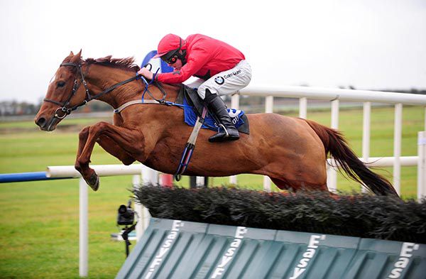 Tell Me Annie and Andrew Lynch