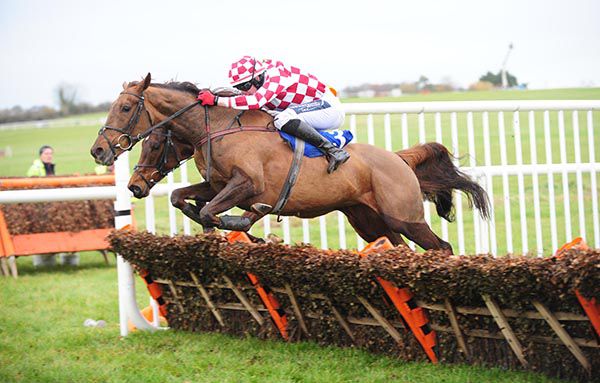 Under Surveillance (near side) and the partly hidden Tara Dylan jump the last