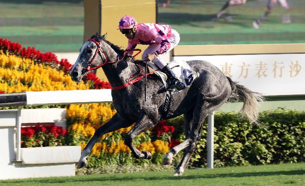 Hot King Prawn has stall one and Moreira in the saddle