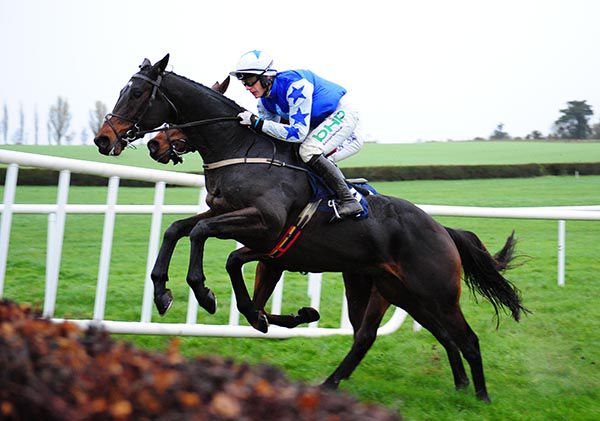 Kemboy is a strong favourite for the Paddy Power Irish Gold Cup