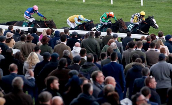 The Glancing Queen (white face) in front