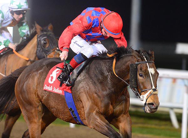 Reckless Lad and Killian Leonard win for trainer Pat Martin