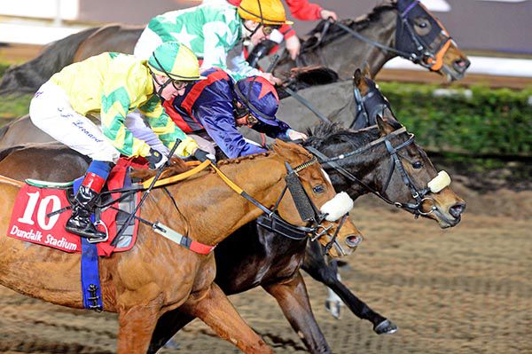 2nd away from camera, Tomwontlisten (noseband) just prevails under Nathan Crosse