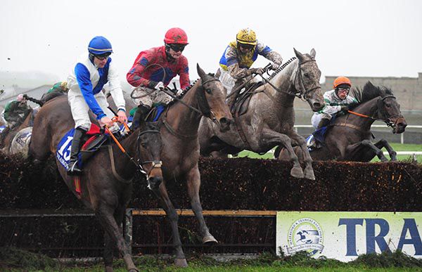 Grey horse Rocky's Silver takes a fence under Conor Orr