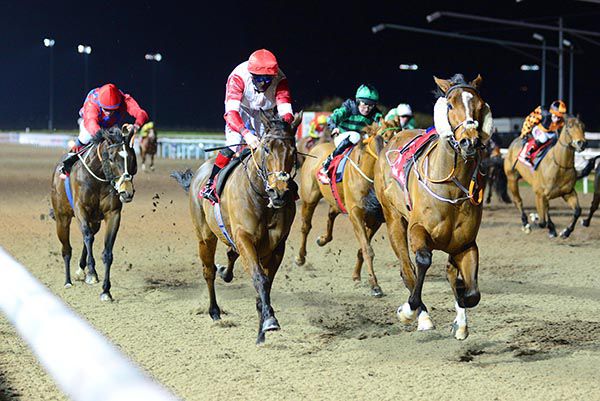 Massa Lubrense with loose Descendant