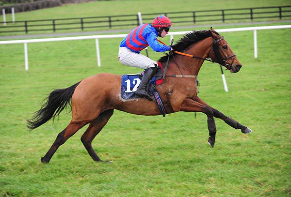 All About Alfie and Eamonn Corbett