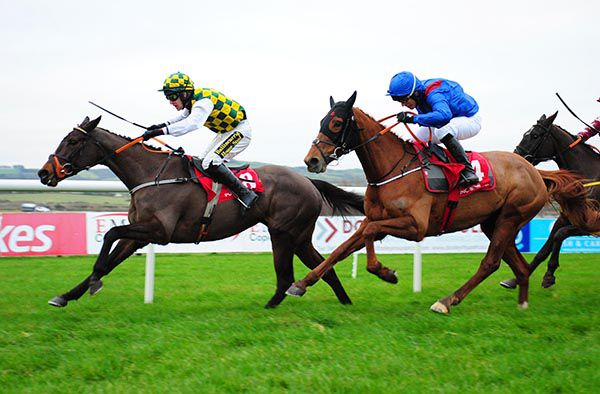 Tens Or Better and Richie Harding race for the line from Daylight Katie and David Dunsdon