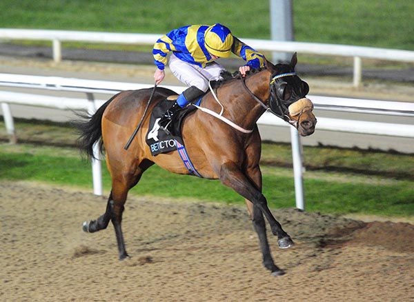 Ahlan Bil Zain and Ben Coen