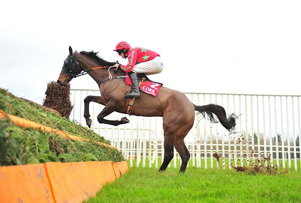 Bridies Boy and Ambrose McCurtin