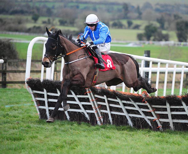 Robin On The Hill clears the last under Mark Enright
