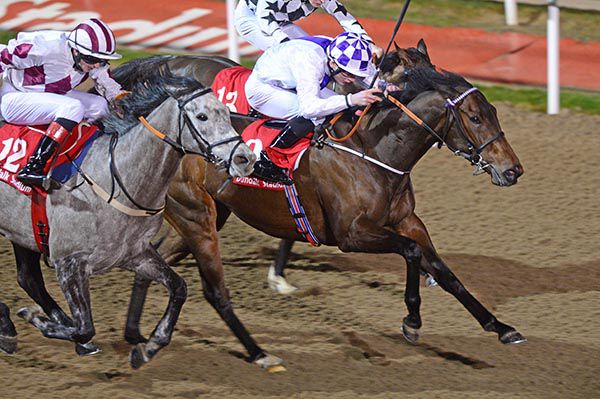 Latchet (Gavin Ryan, centre) heads for the line from Crossingoz (grey horse, Conor Hoban up)