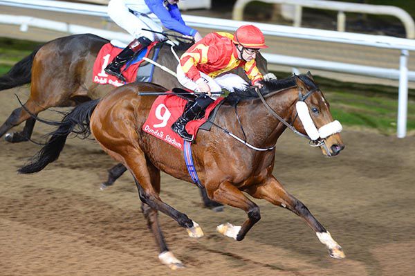 Confrontational and Shane Foley