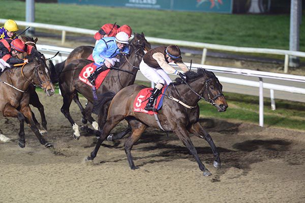 Dandys Gold wins under David Simmonson