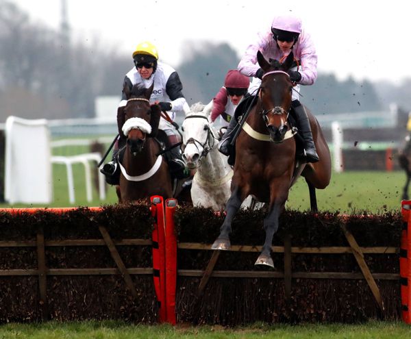 Global Citizen (pink) winning over hurdles at Haydock last season 