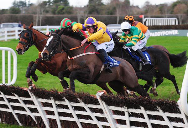 Geneva Barracks (Conor Brassil, nearside) battles it out with Free Ranger (Sean Flanagan)