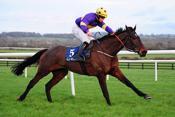 Latest Exhibition - seen here winning his bumper at Naas under Max Browne