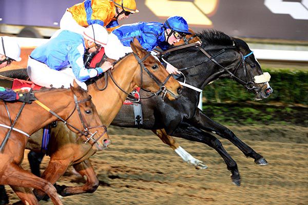 Isosceles (noseband) wins under Ross Coakley