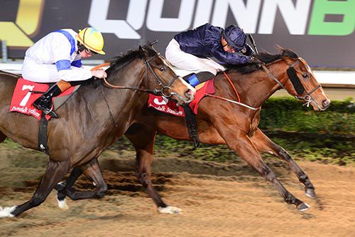 Empire Line (Ben Coen) holds off Jered Maddox (Oisin Orr)