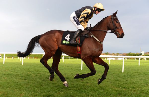 Bellshill won the Irish Gold Cup by a short head in 2019
